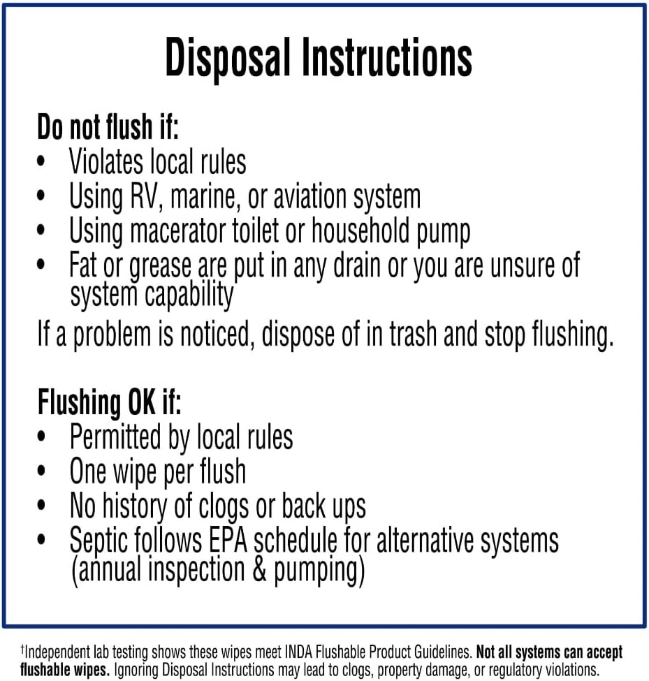 Equate Flushable Wipes, Fresh Scent, 240 Ct